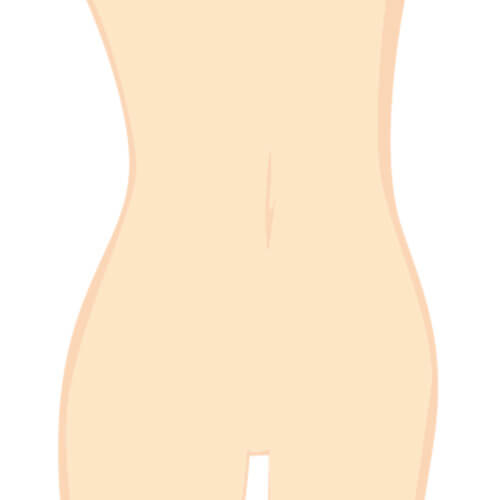 お腹